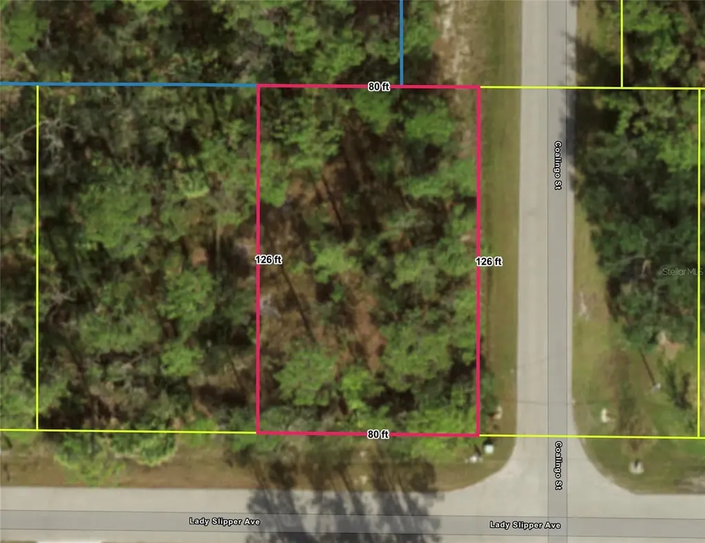 Lady Slipper Avenue North Port FL 34291
