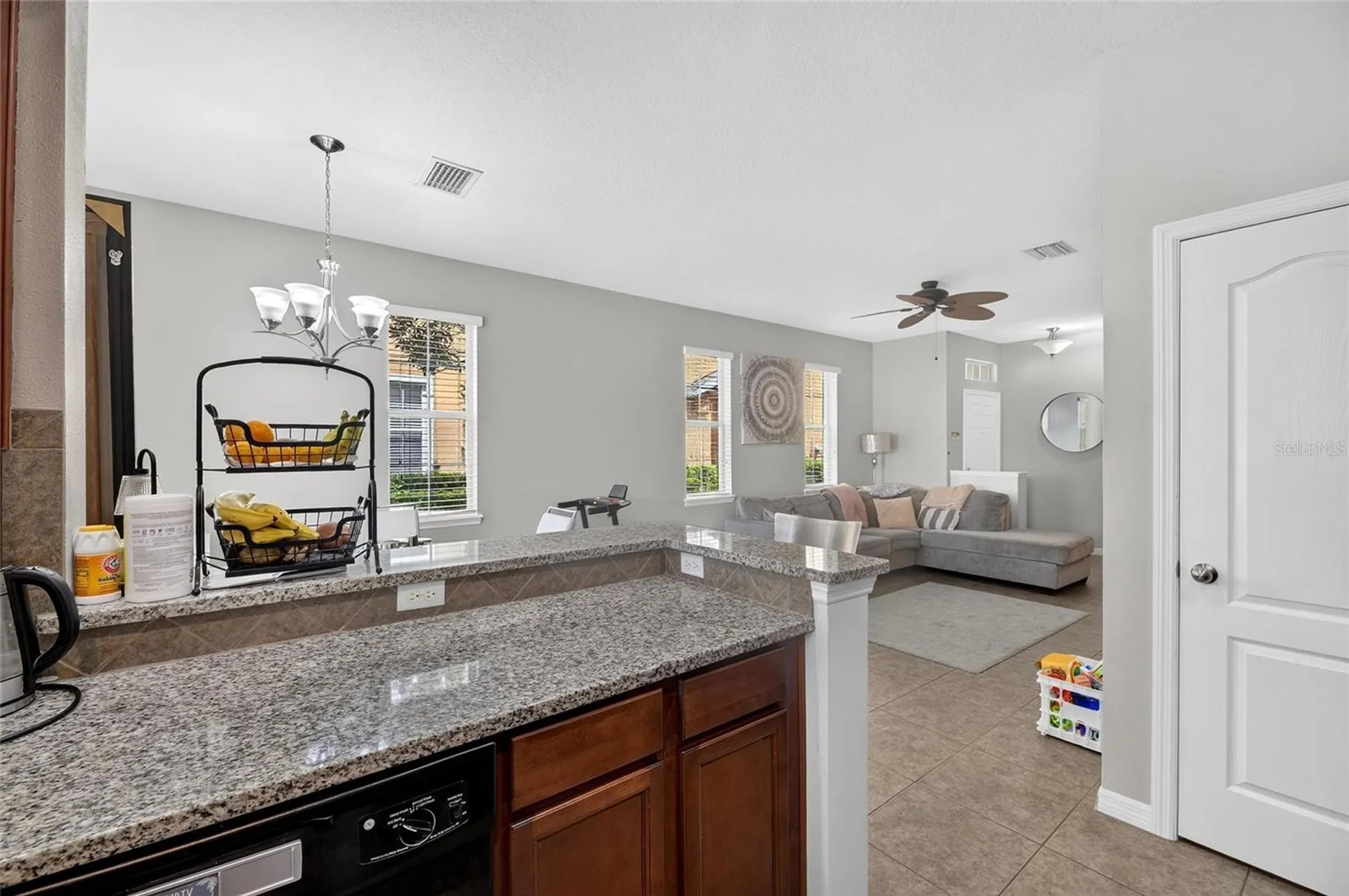 8833 Moonlit Meadows Loop Riverview FL 33578