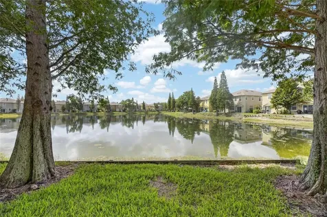 8833 Moonlit Meadows Loop Riverview FL 33578