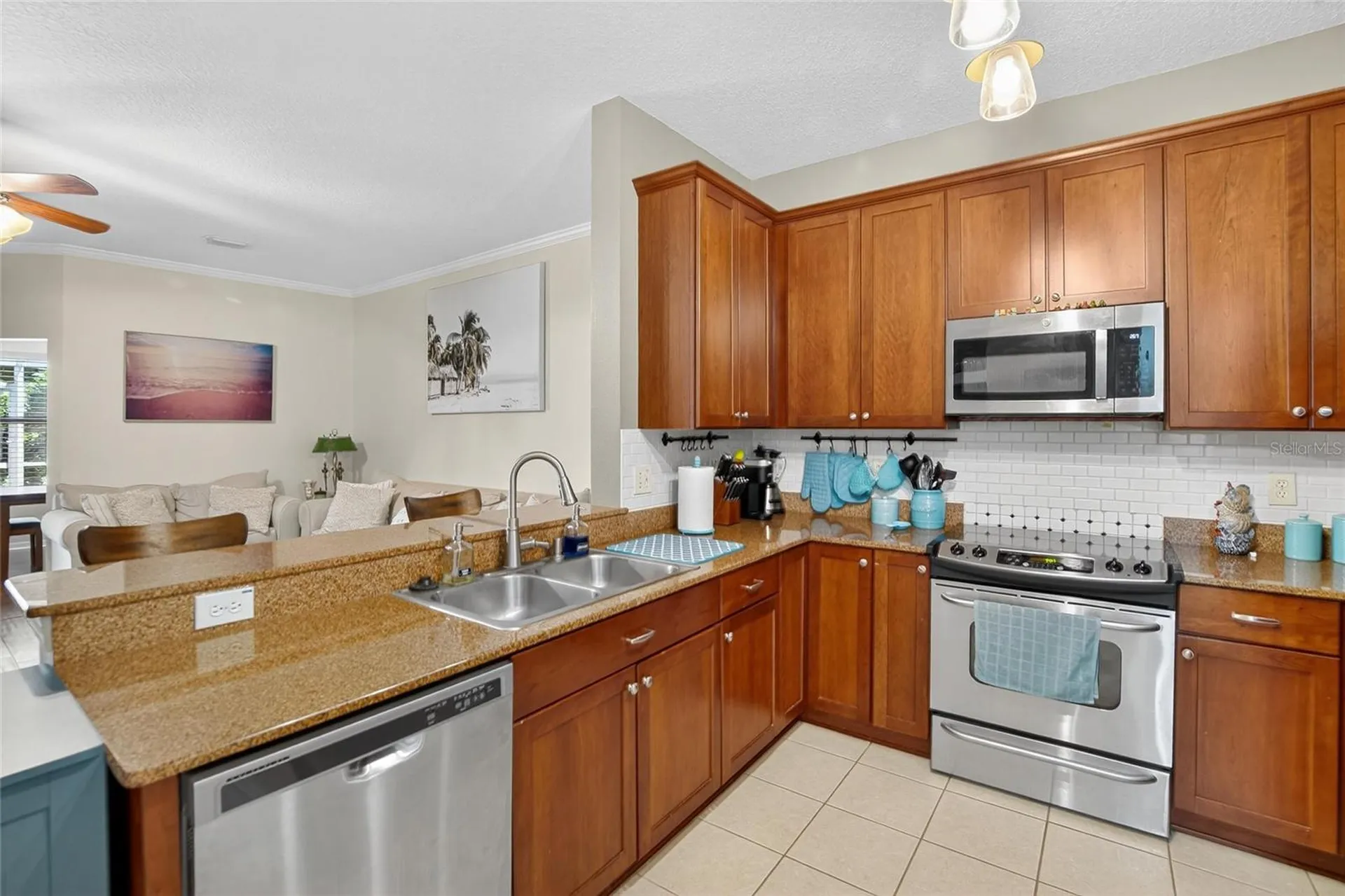3006 Girvan Drive Land O Lakes FL 34638