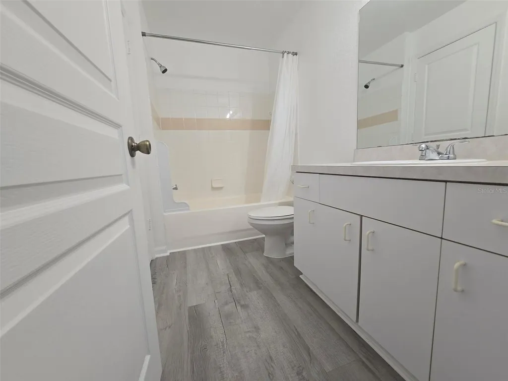 17108 Carrington Park Drive Tampa FL 33647