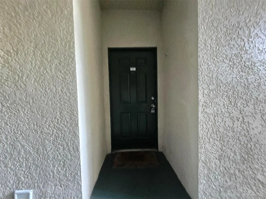 17108 Carrington Park Drive Tampa FL 33647