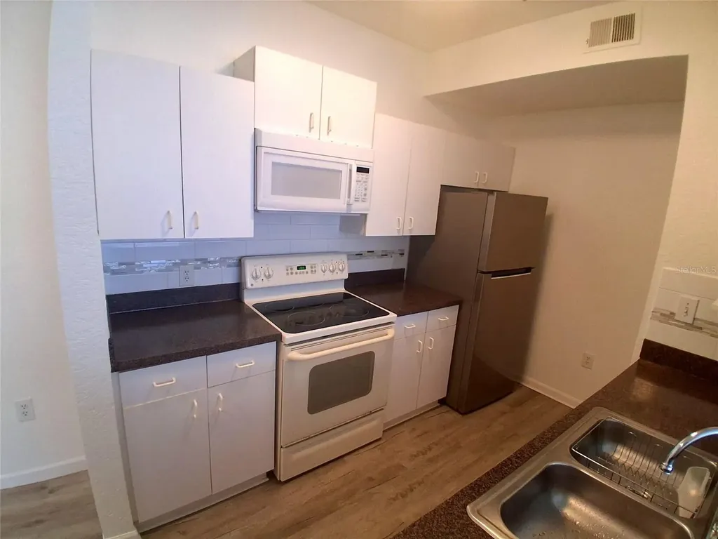 17108 Carrington Park Drive Tampa FL 33647