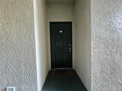 17108 Carrington Park Drive Tampa FL 33647