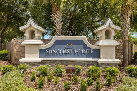17017 Torvest Court Land O Lakes FL 34638