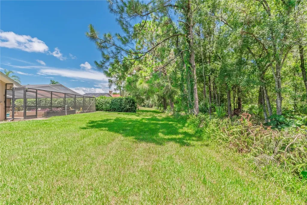 3792 Windber Boulevard Palm Harbor FL 34685