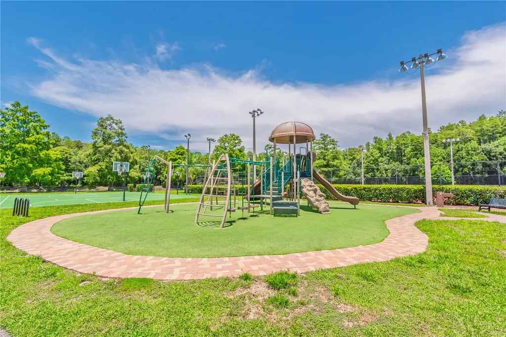 3792 Windber Boulevard Palm Harbor FL 34685
