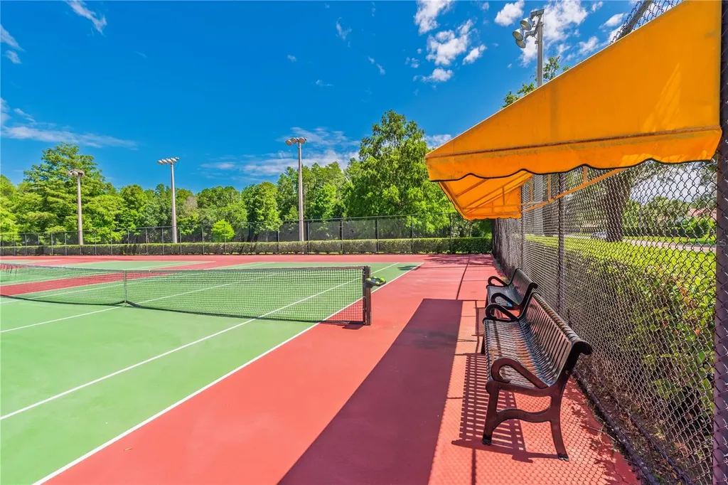 3792 Windber Boulevard Palm Harbor FL 34685