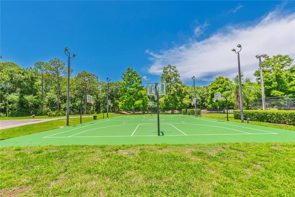 3792 Windber Boulevard Palm Harbor FL 34685