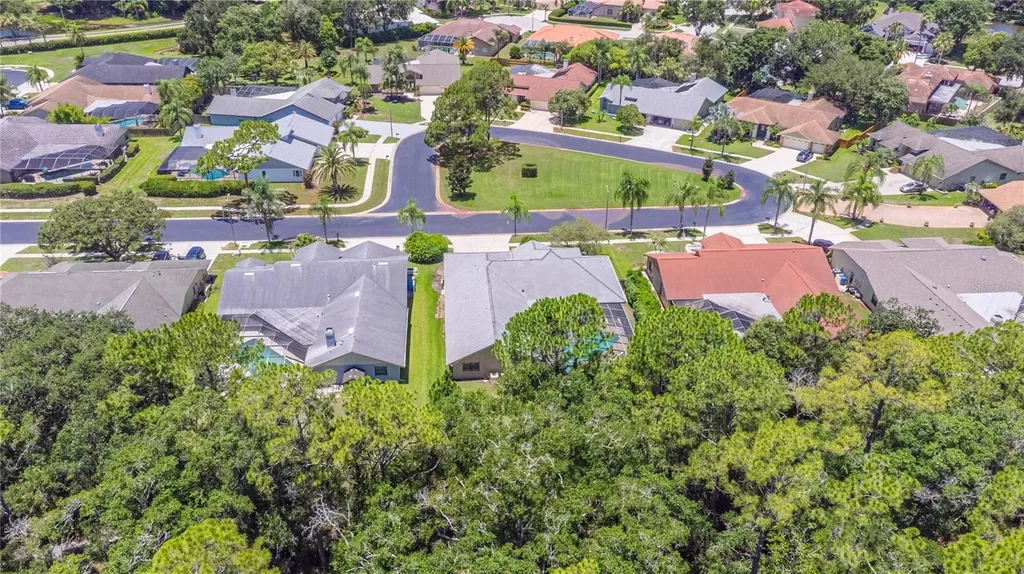 3792 Windber Boulevard Palm Harbor FL 34685