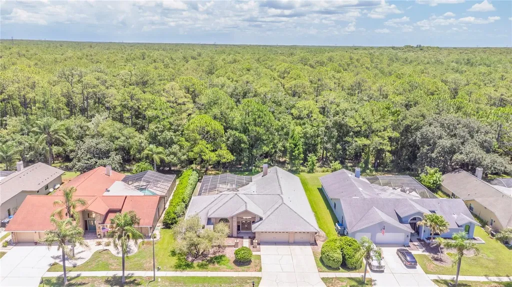 3792 Windber Boulevard Palm Harbor FL 34685