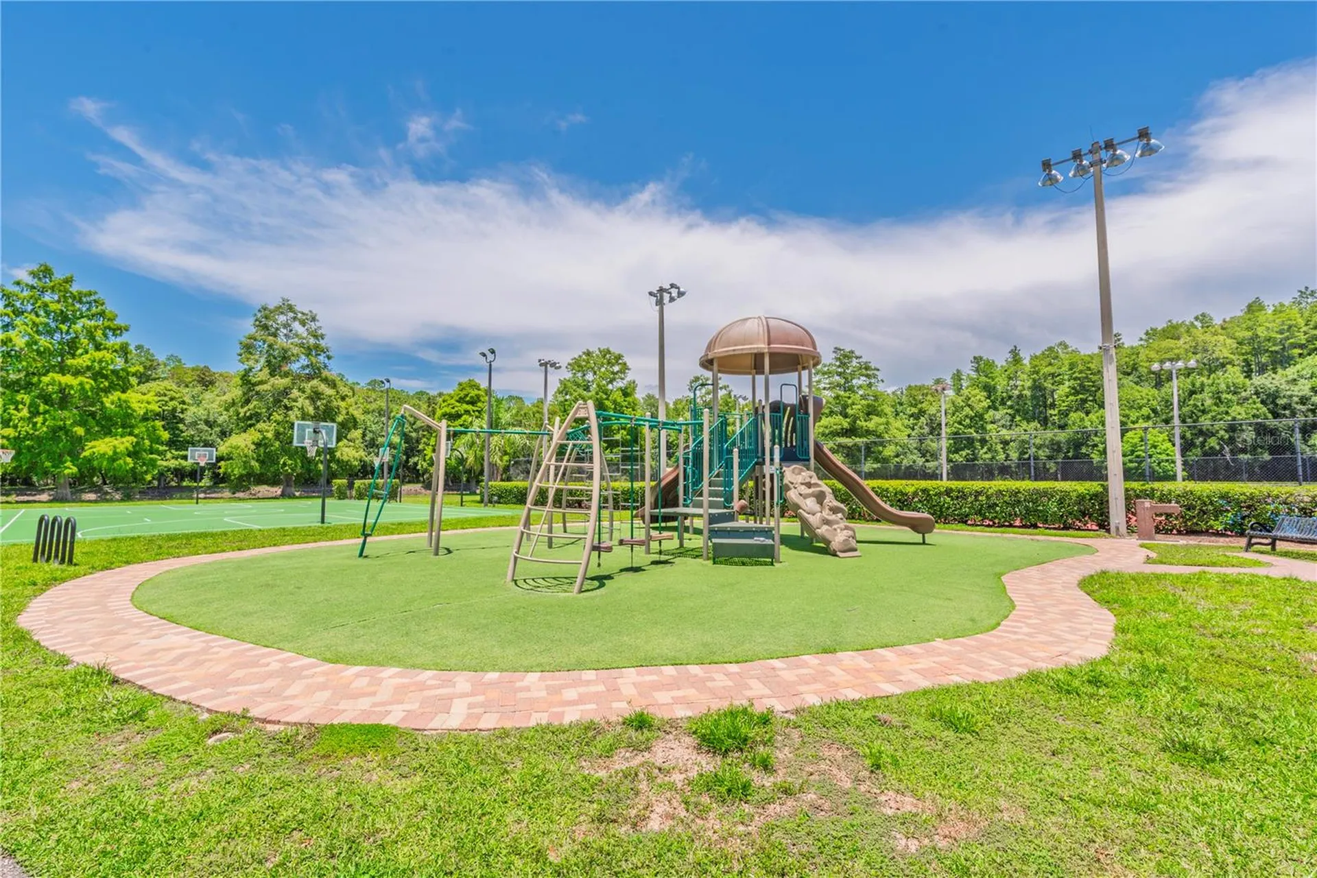 3792 Windber Boulevard Palm Harbor FL 34685