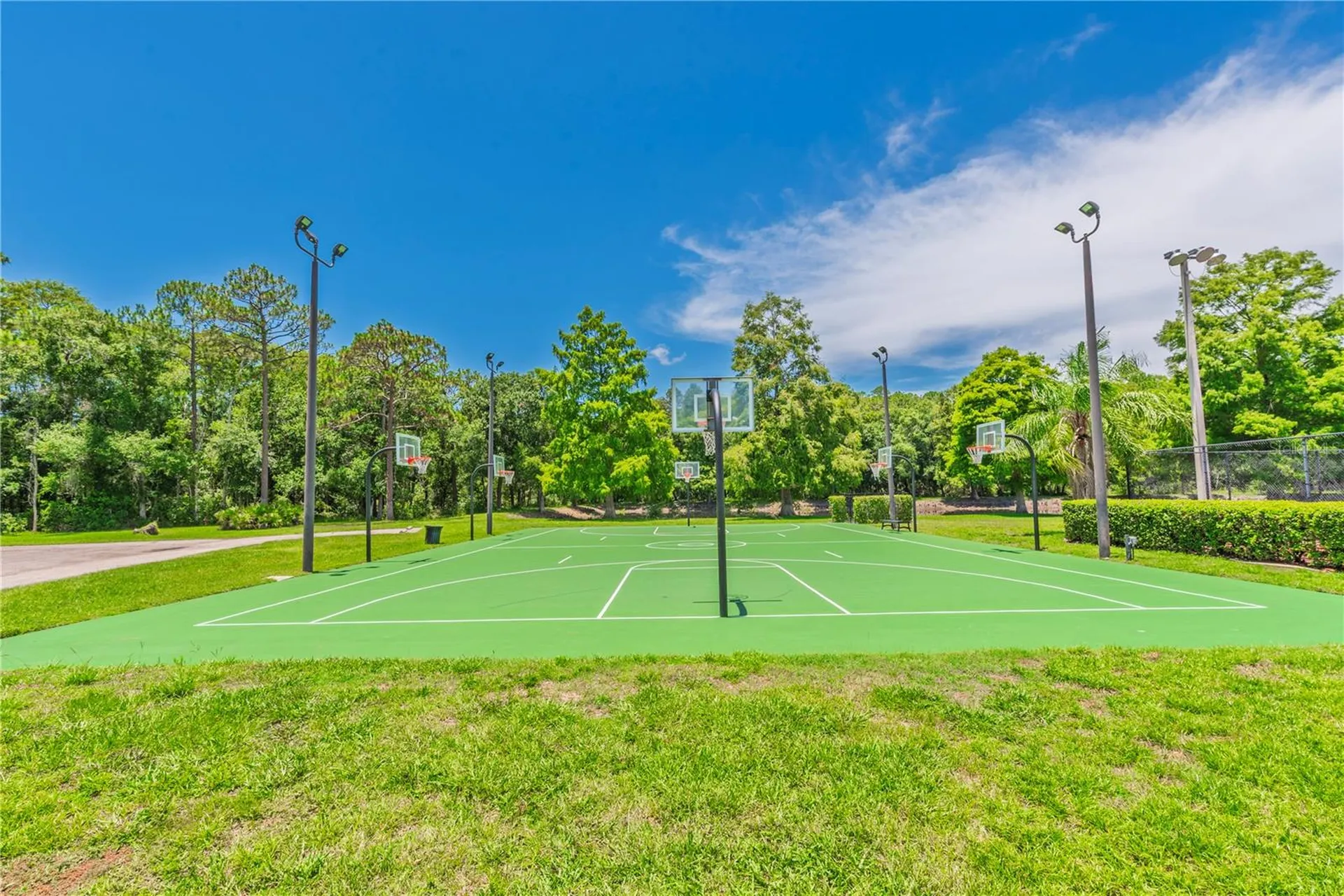 3792 Windber Boulevard Palm Harbor FL 34685
