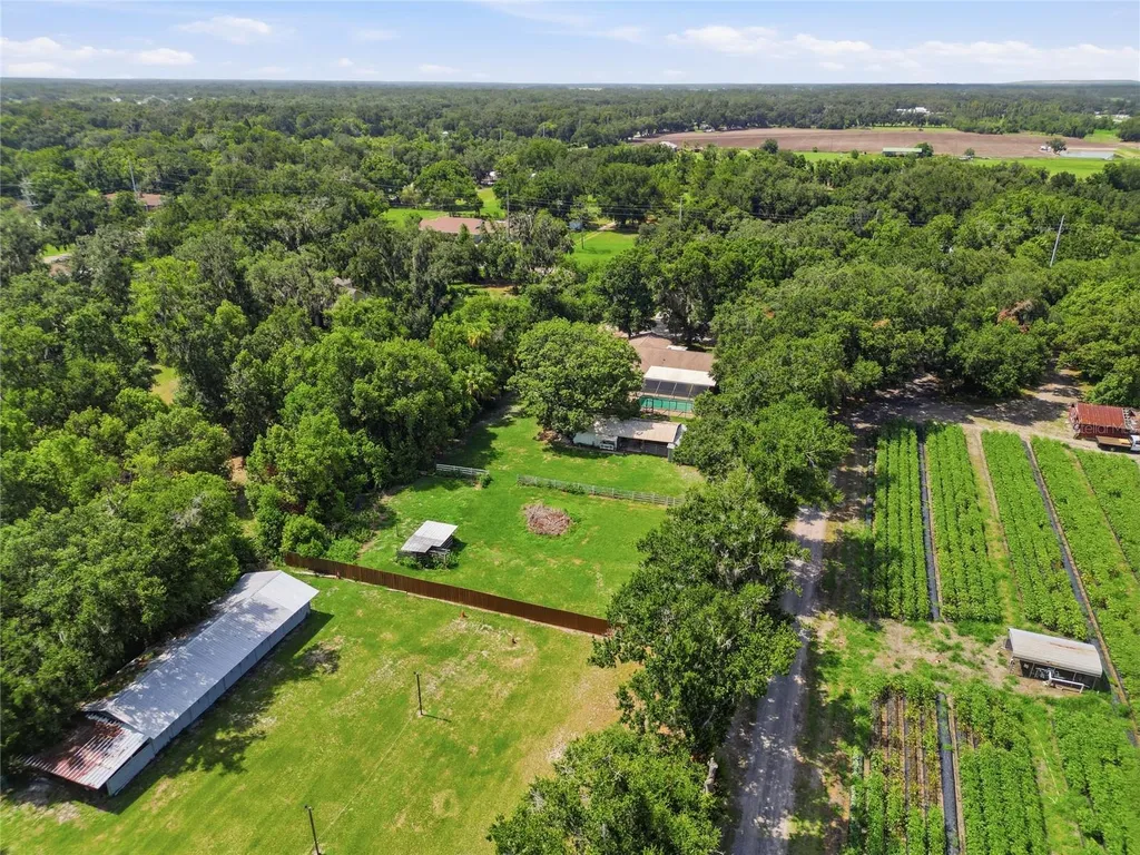 2709 W Sam Allen Road Plant City FL 33565