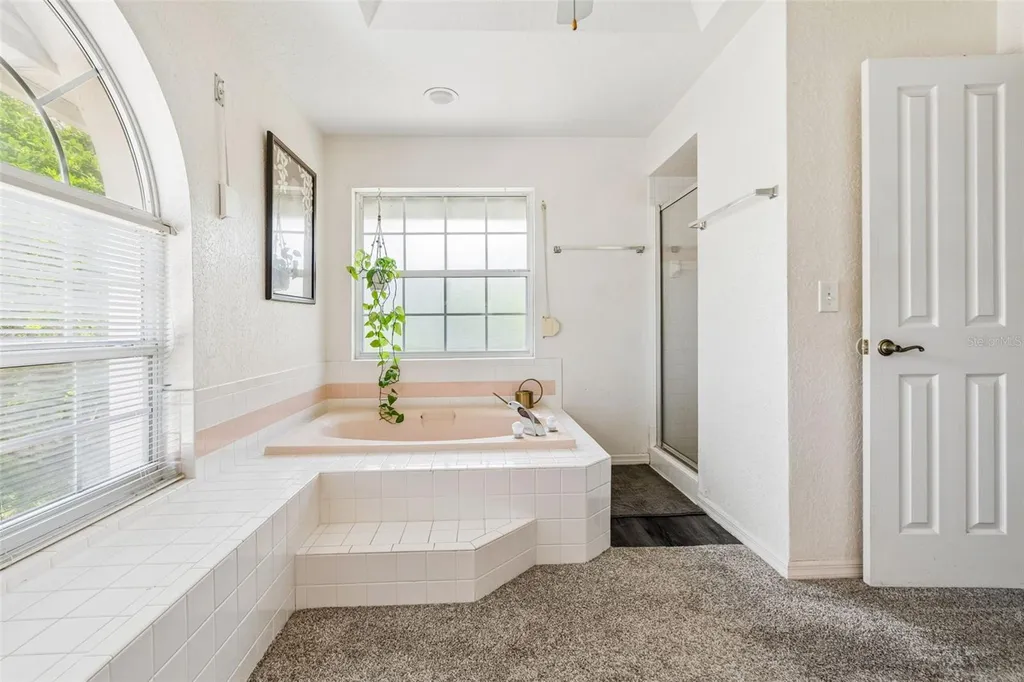 1776 Wood Thrush Way Palm Harbor FL 34683