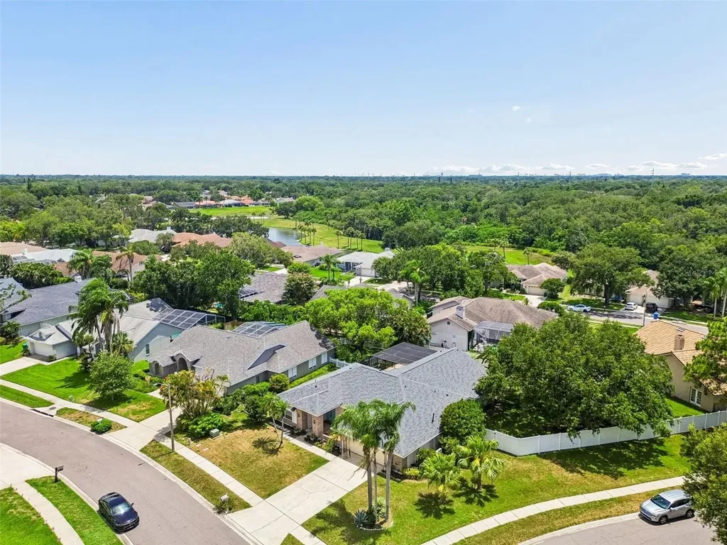 1776 Wood Thrush Way Palm Harbor FL 34683