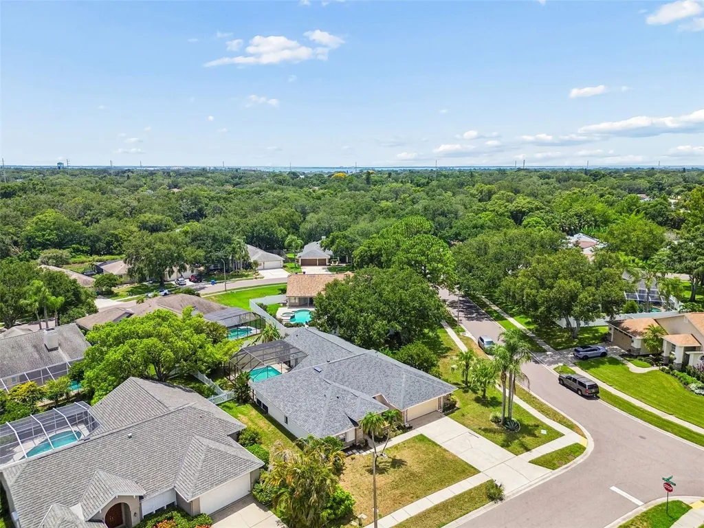 1776 Wood Thrush Way Palm Harbor FL 34683