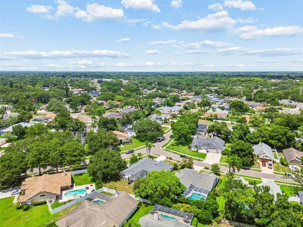 1776 Wood Thrush Way Palm Harbor FL 34683