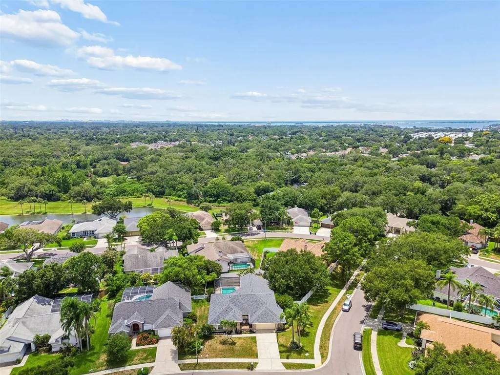 1776 Wood Thrush Way Palm Harbor FL 34683