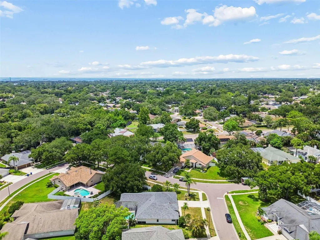 1776 Wood Thrush Way Palm Harbor FL 34683