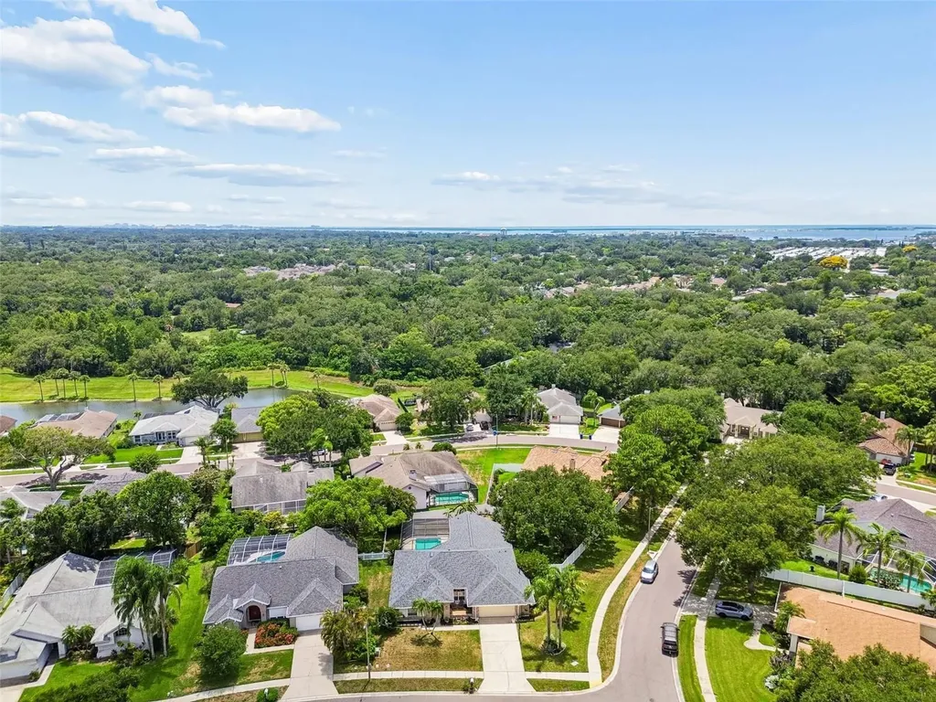 1776 Wood Thrush Way Palm Harbor FL 34683