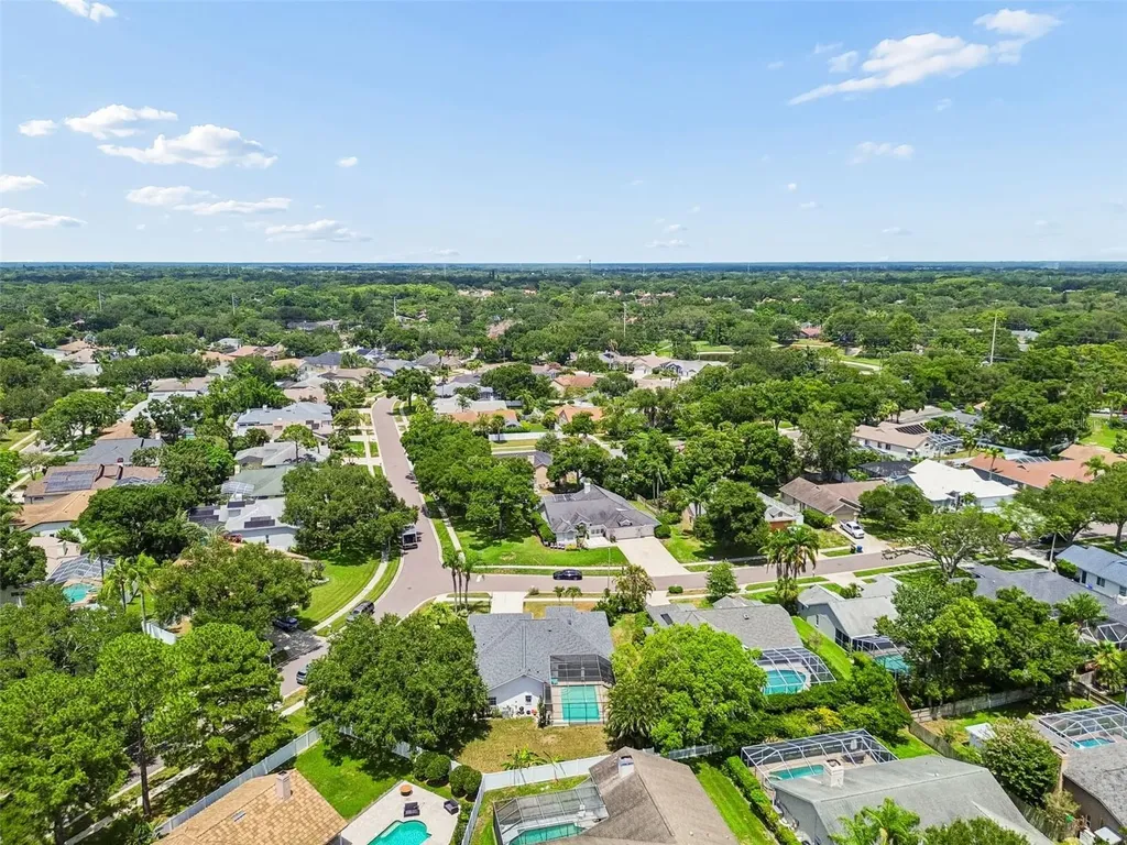 1776 Wood Thrush Way Palm Harbor FL 34683