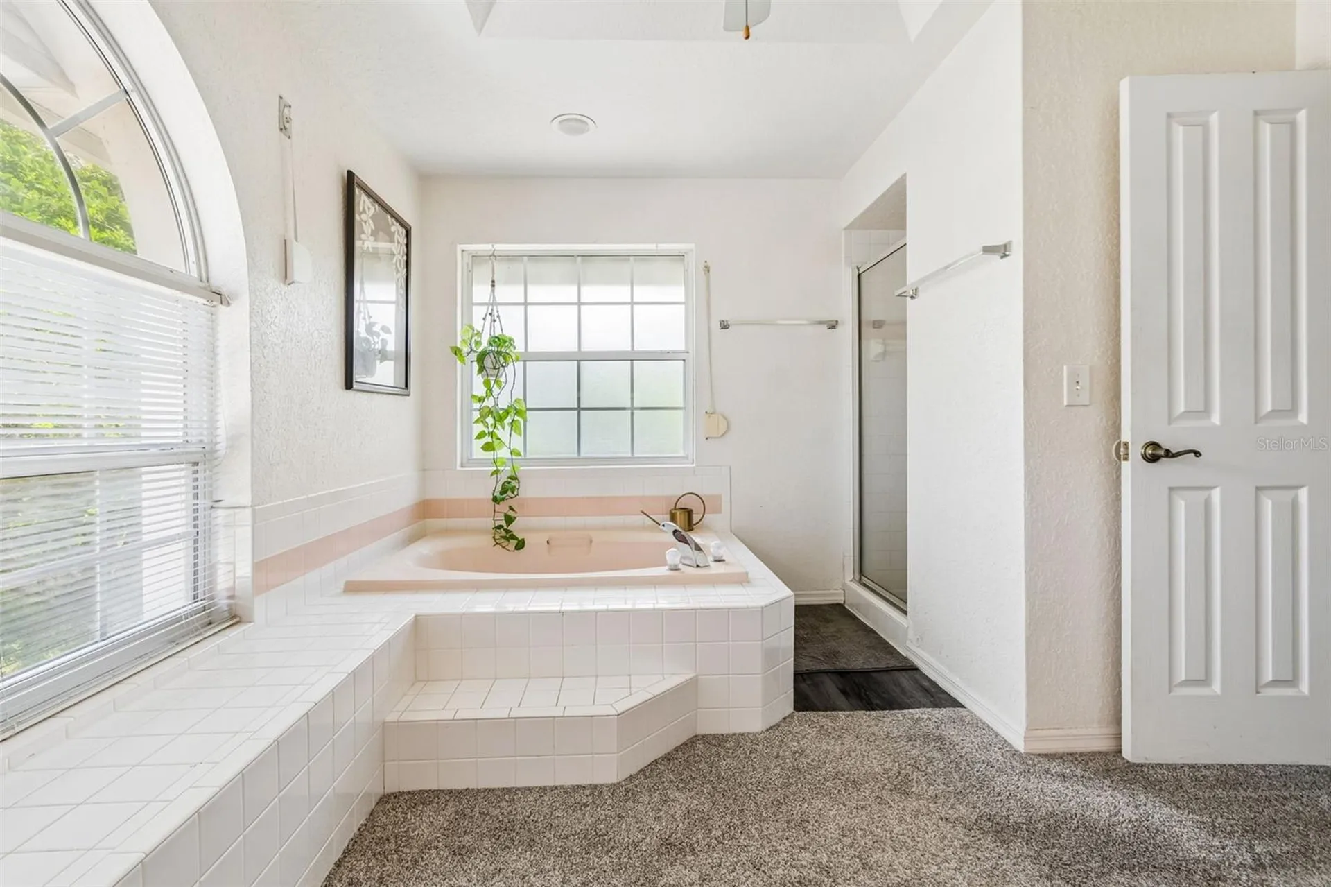 1776 Wood Thrush Way Palm Harbor FL 34683