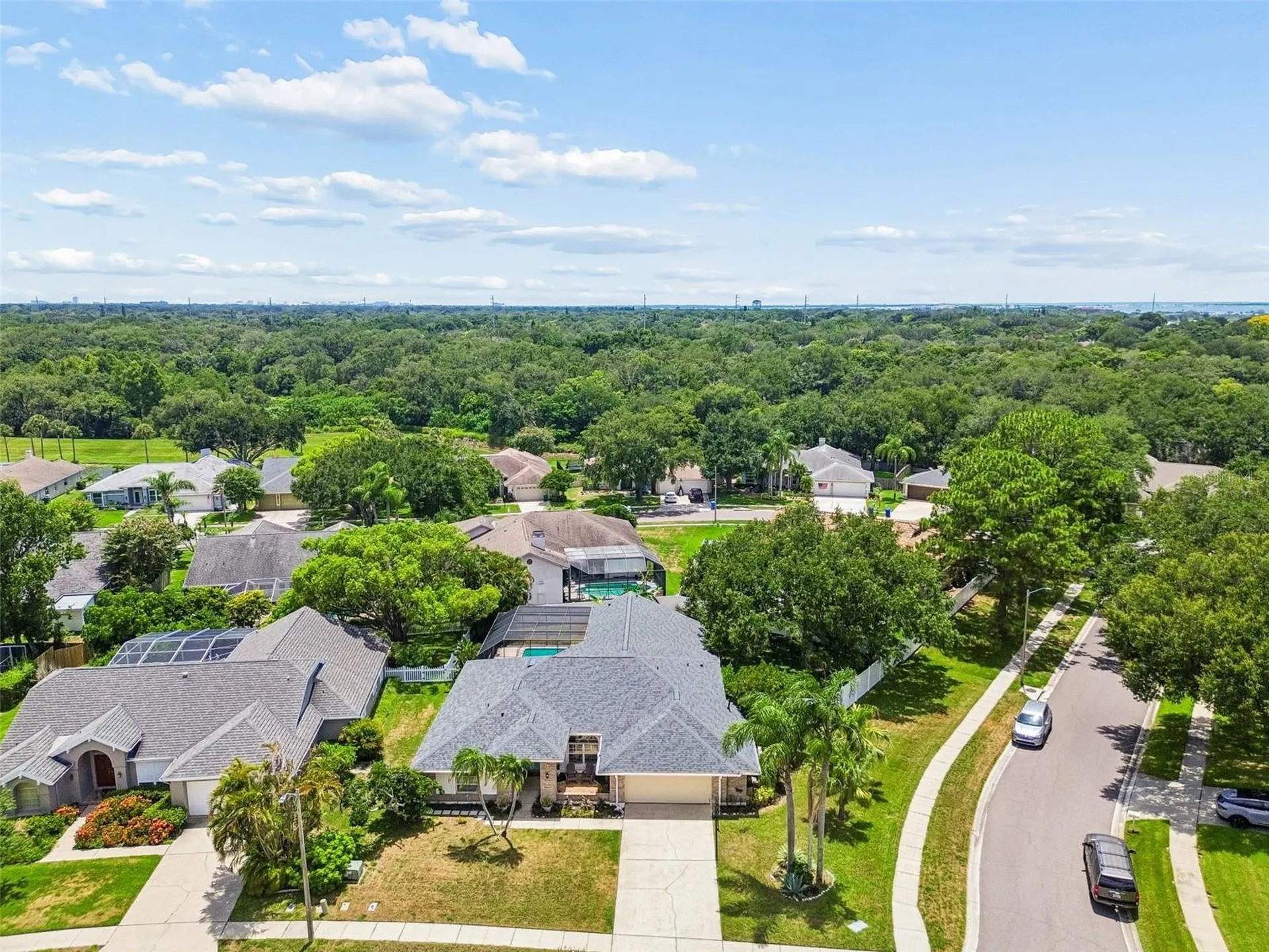 1776 Wood Thrush Way Palm Harbor FL 34683
