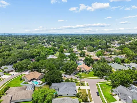 1776 Wood Thrush Way Palm Harbor FL 34683