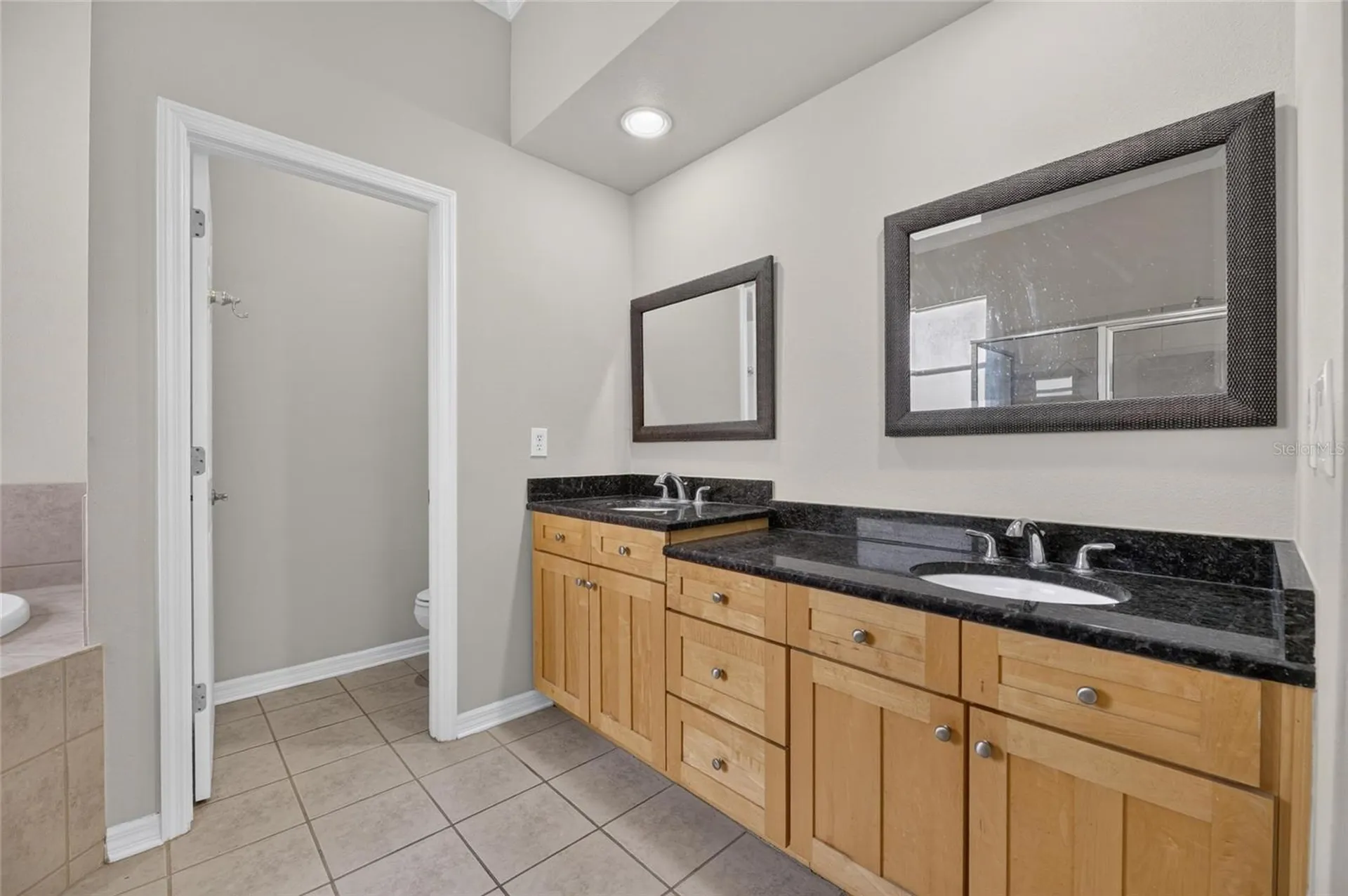 12519 River Birch Drive Riverview FL 33569