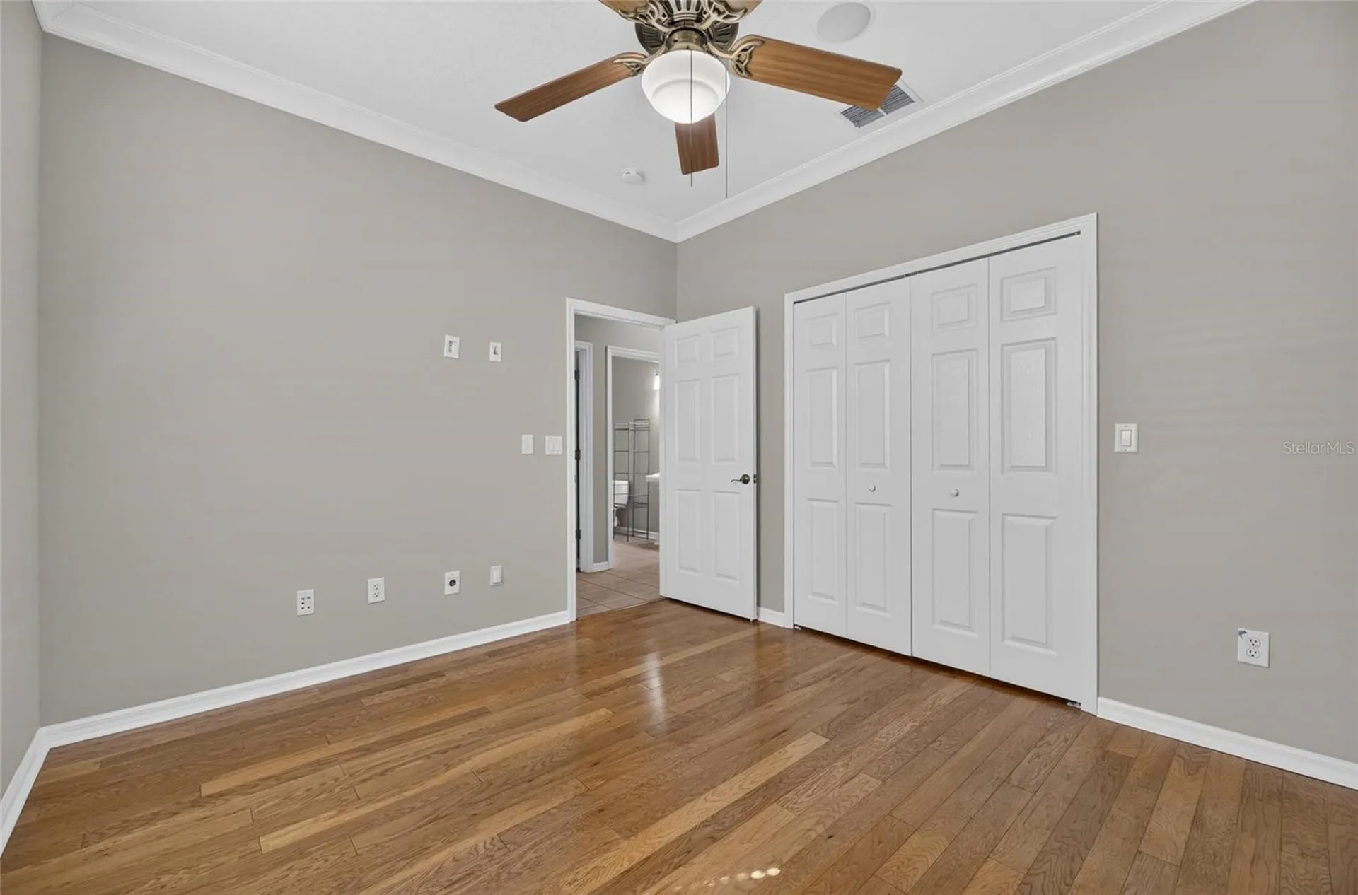 12519 River Birch Drive Riverview FL 33569