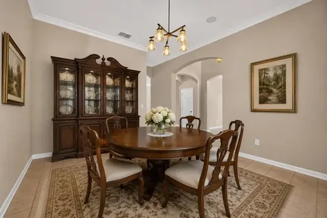 12519 River Birch Drive Riverview FL 33569