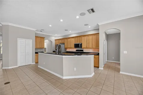 12519 River Birch Drive Riverview FL 33569