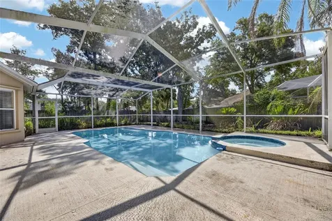 12519 River Birch Drive Riverview FL 33569