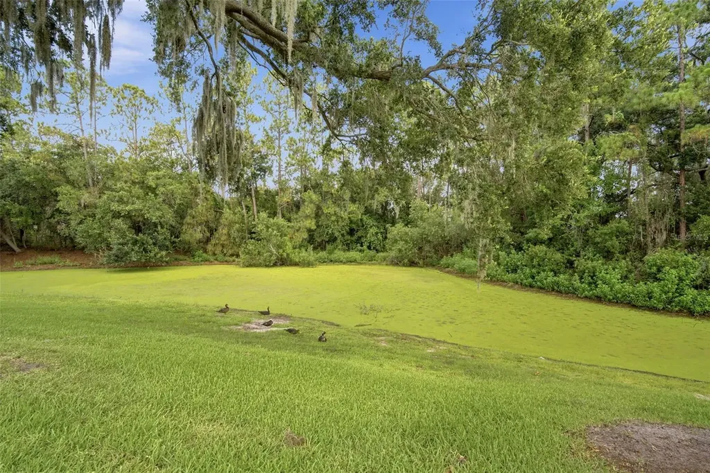 1014 Hardwood Drive Valrico FL 33596