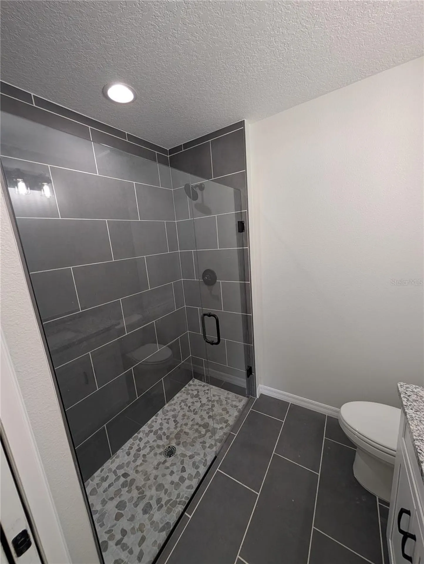 4244 SW 157th Court SW Ocala FL 34481