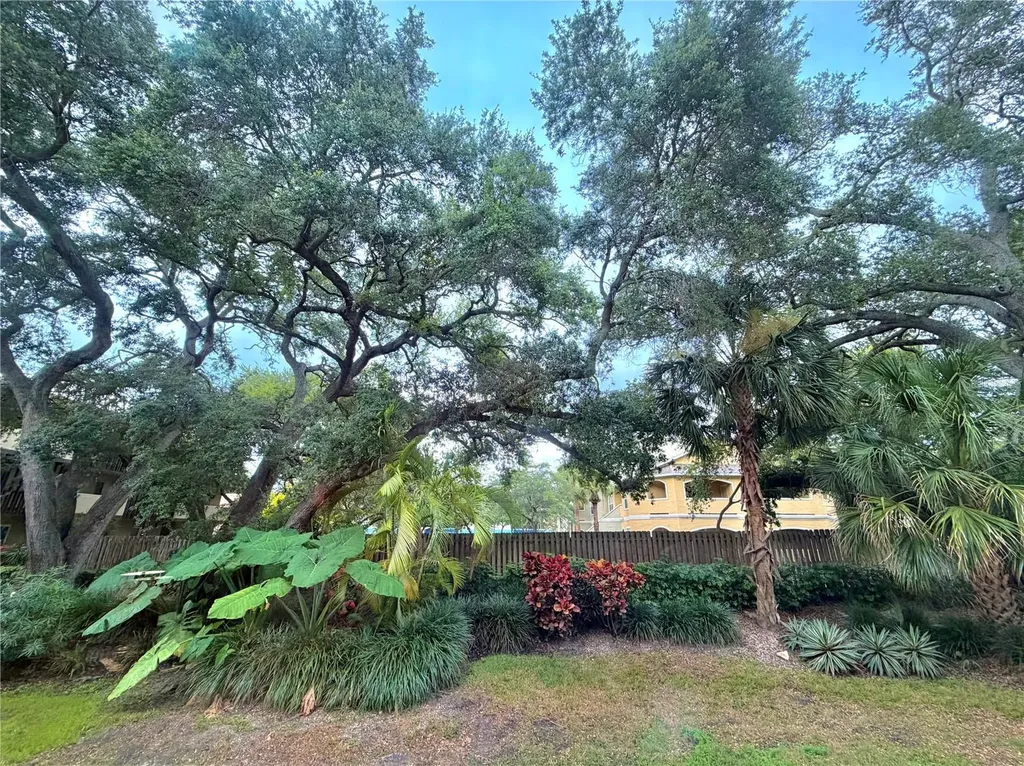 1247 S Martin Luther King Junior Avenue Clearwater FL 33756