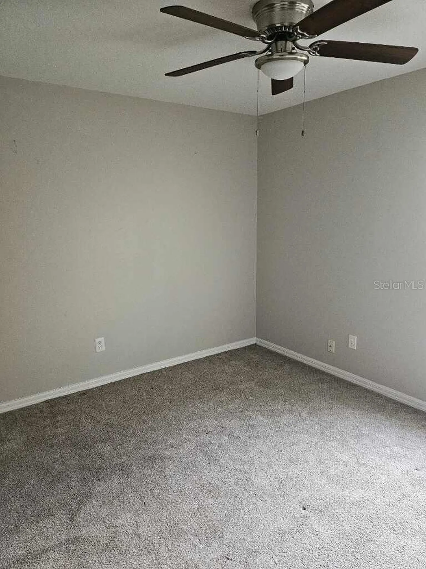 1929 Sedgefield Street Brandon FL 33511