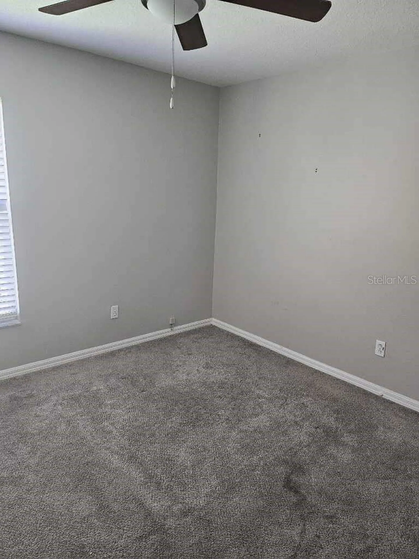 1929 Sedgefield Street Brandon FL 33511