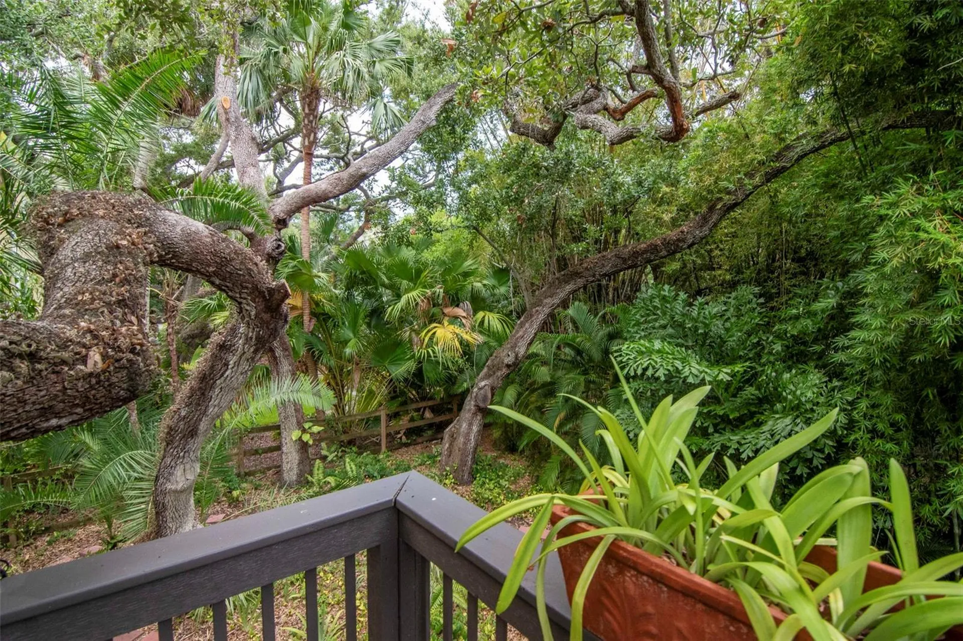 2514 W Conley Avenue Tampa FL 33611
