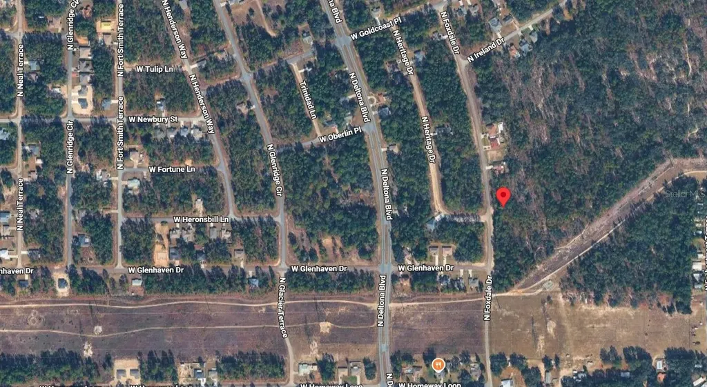 6977 N Foxdale Drive Citrus Springs FL 34434