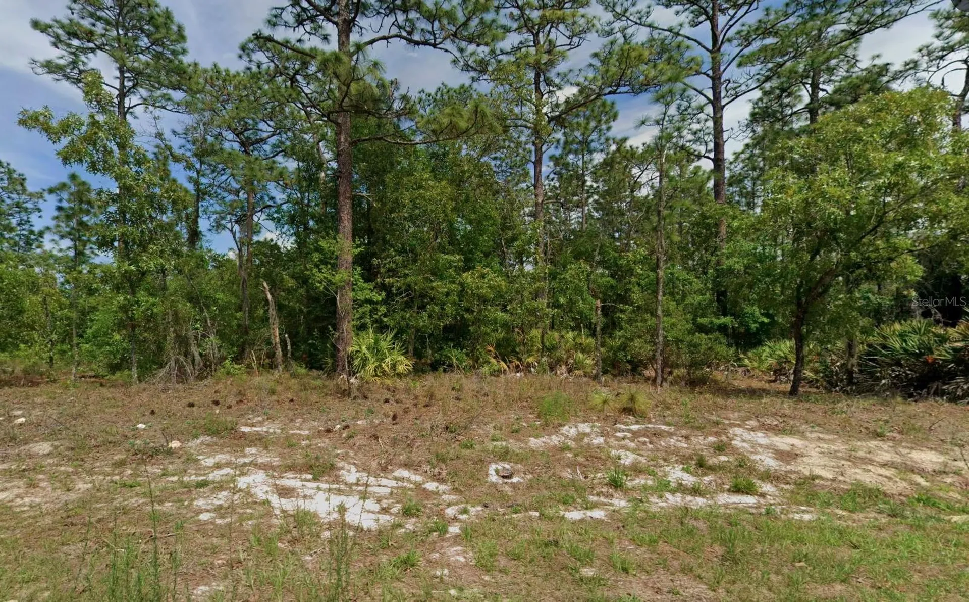 6977 N Foxdale Drive Citrus Springs FL 34434