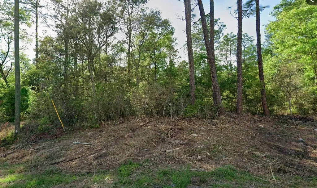 10814 N Hatari Drive Citrus Springs FL 34434