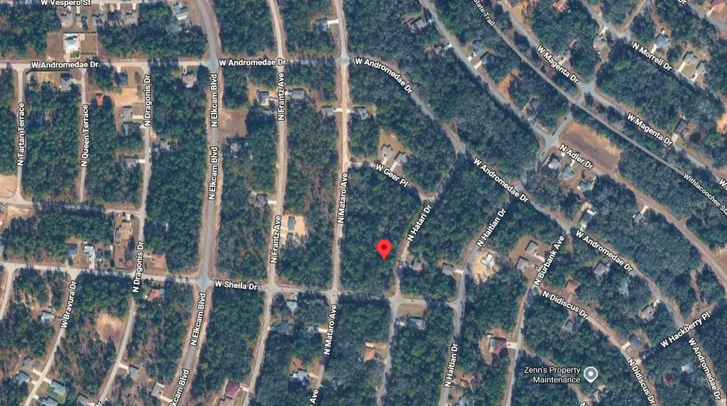 10814 N Hatari Drive Citrus Springs FL 34434