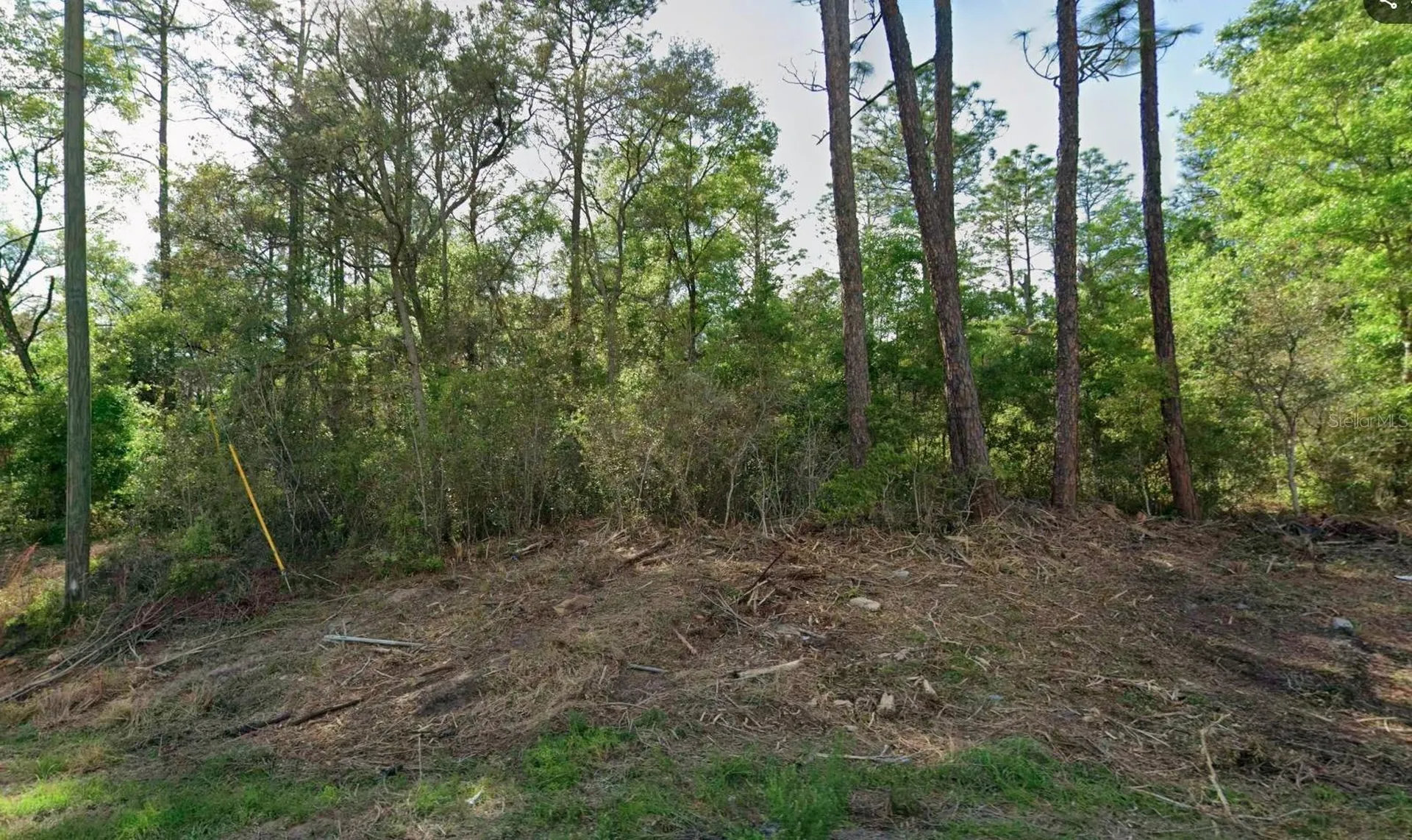 10814 N Hatari Drive Citrus Springs FL 34434