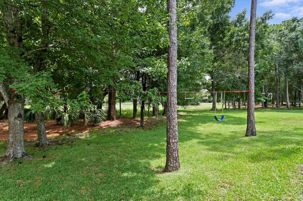12918 Red Cardinal Drive Odessa FL 33556