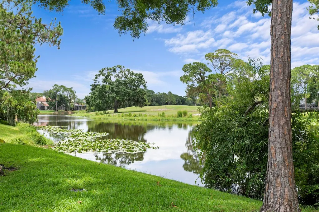 12918 Red Cardinal Drive Odessa FL 33556