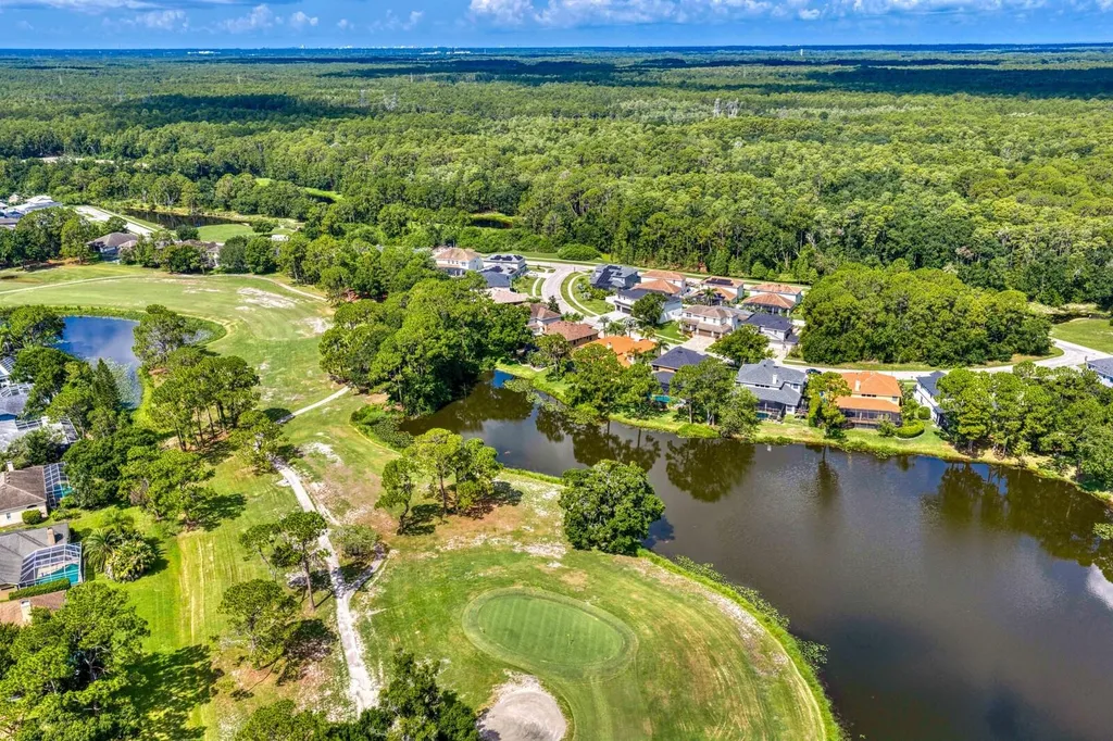 12918 Red Cardinal Drive Odessa FL 33556