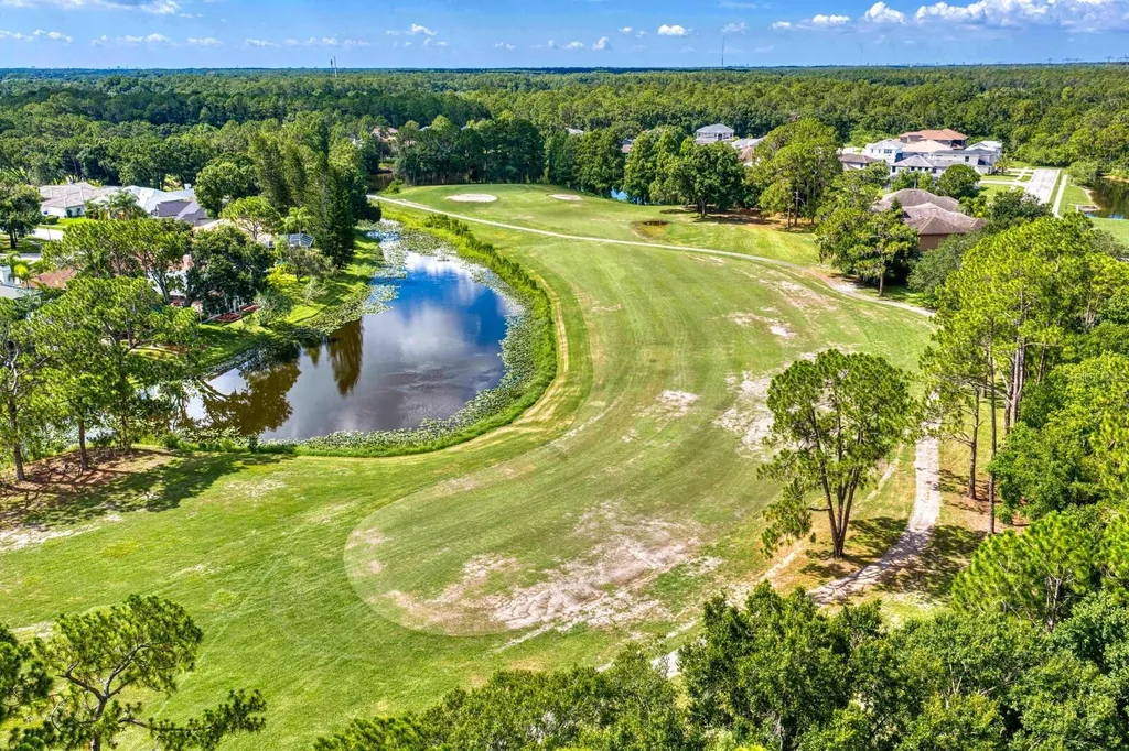 12918 Red Cardinal Drive Odessa FL 33556