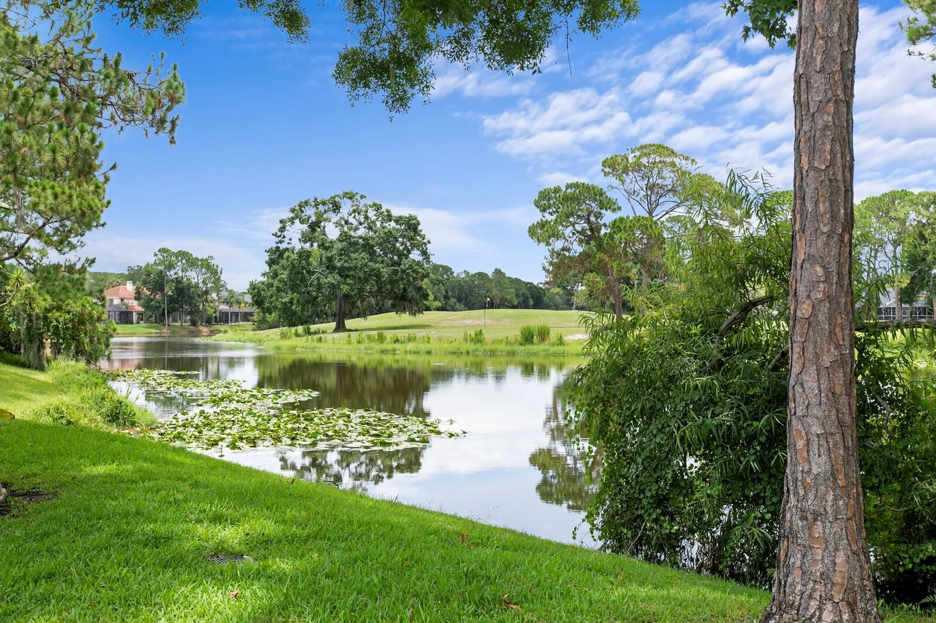 12918 Red Cardinal Drive Odessa FL 33556
